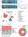 CARD9 is necessary for defense against subcutaneous dematiaceous fungal inf