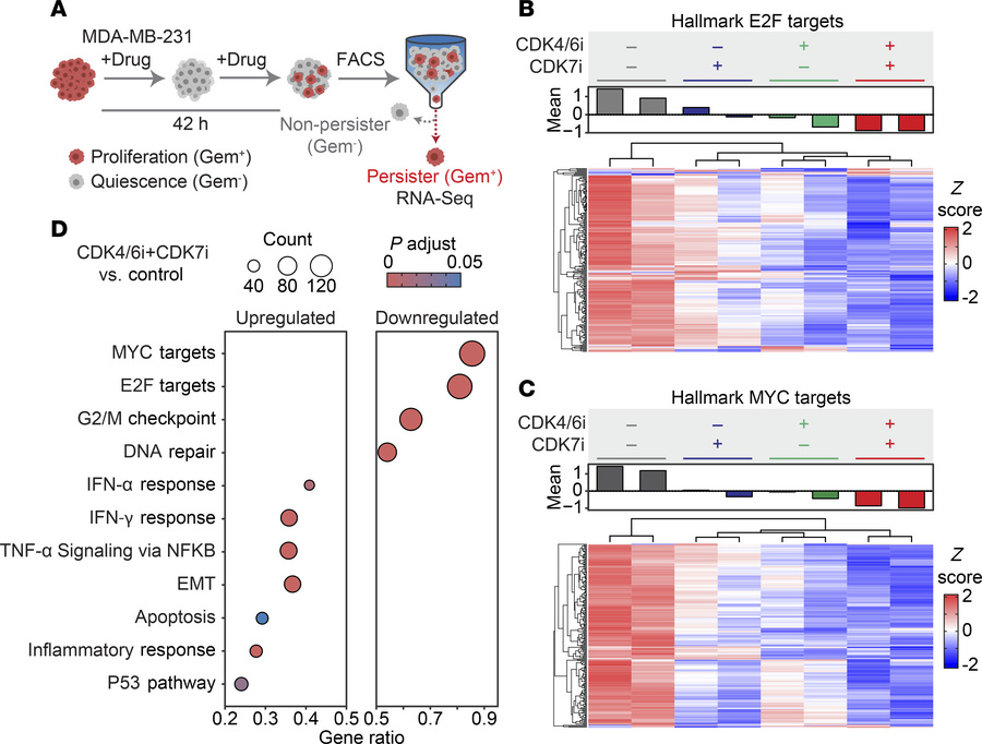 Differential gene expression and pathway modulation in persister cells.
...