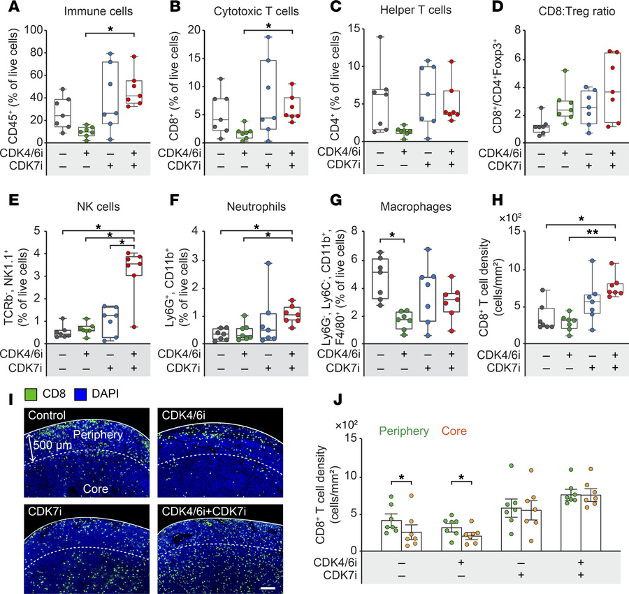 Enhanced antitumor immunity by CDK4/6i and CDK7i treatment.
(A−G) Flow c...