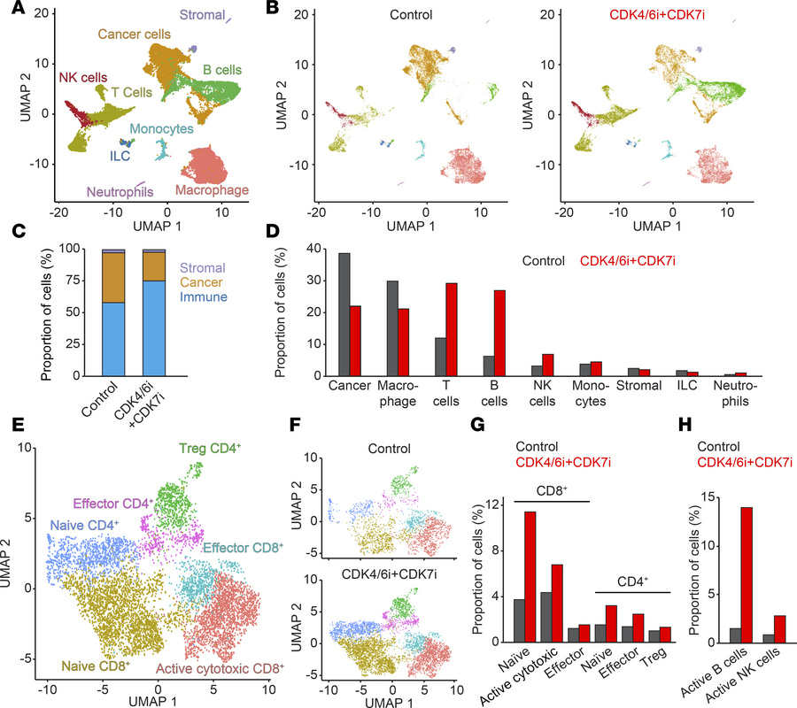 Immune cell dynamics in the TME following CDK4/6i and CDK7i treatment.
(...