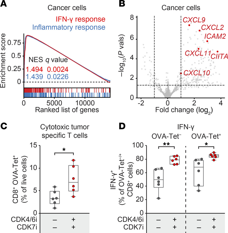 CDK4/6i and CDK7i combination enhances immune-modulatory signaling and t...