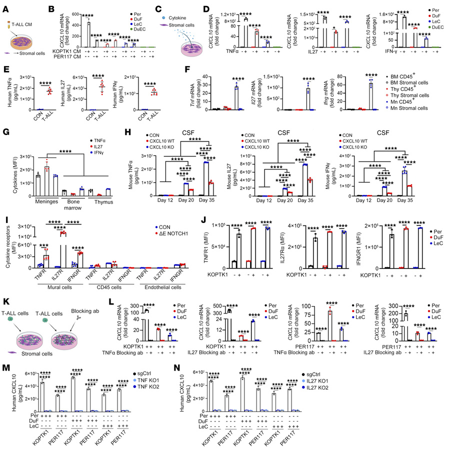 JCI - T cell acute lymphoblastic leukemia exploits a neural ...