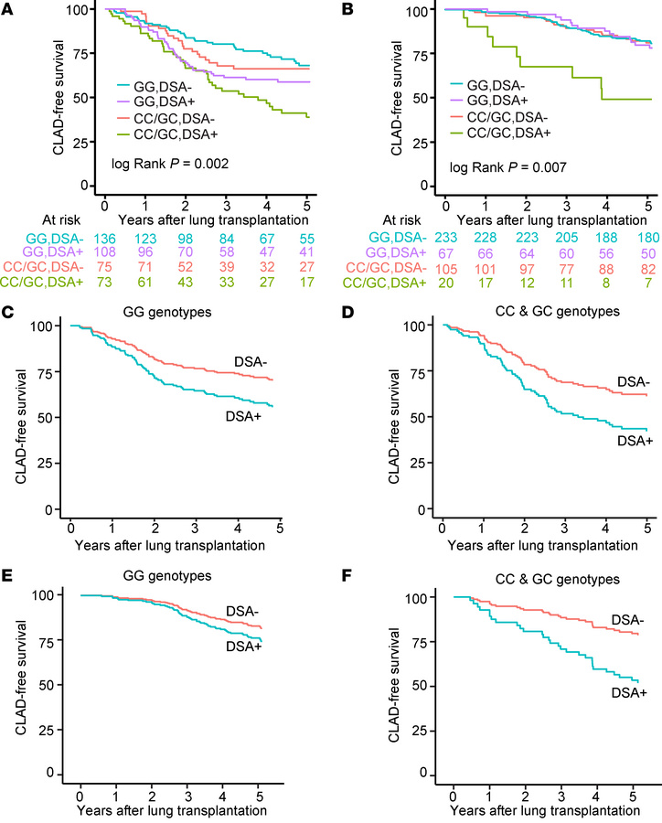 Complement-mediated CLAD or death is dependent on DSAs.
CLAD-free surviv...