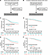 A functional C3 polymorphism confers increased risk of CLAD or death in 2 i