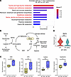 Metabolic profiles in the kidney.
