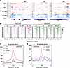 SPHFD mice exhibit increased repressive histone modification at M-regulated