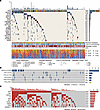 Genomic landscape of triple-negative breast cancer metastases.