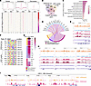 LSD1 regulates key immune-associated and retinoid metabolism genes.
