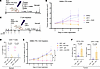 LSD1i tumor growth restriction requires retinoid-immune signaling.