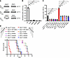 Noncanonical acid-ASIC3 signaling inhibits leukemogenesis.