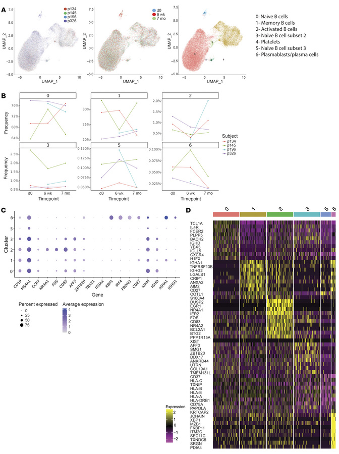 Single-cell analysis of circulating B cells in patients with cancer trea...