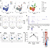 Single-cell analysis of circulating CD4+ T cell populations in patients wit