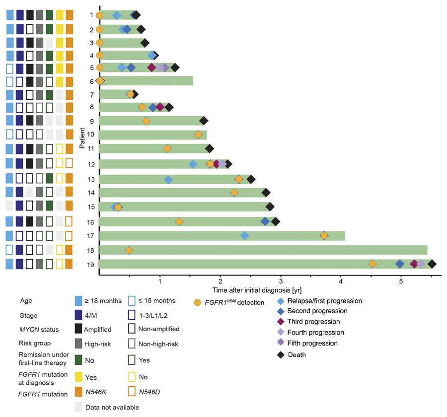 Clinical courses of patients with FGFR1N546 mutated neuroblastoma.
Swimm...