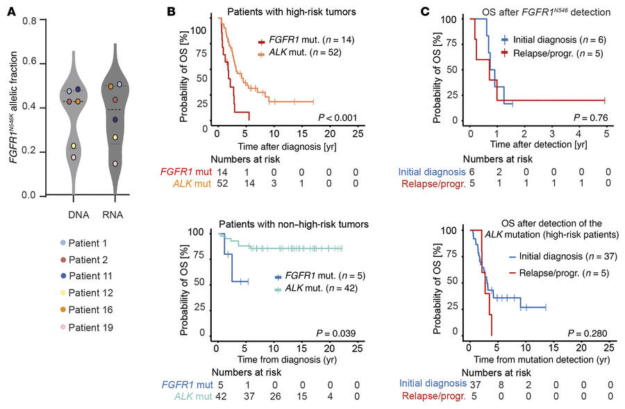 Patients with FGFR1N546-mutated neuroblastoma have a poor outcome.
(A) A...