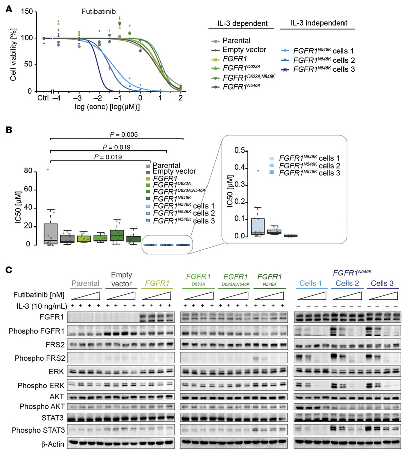
FGFR1N546K renders Ba/F3 cells sensitive to pharmacological FGFR inhibi...