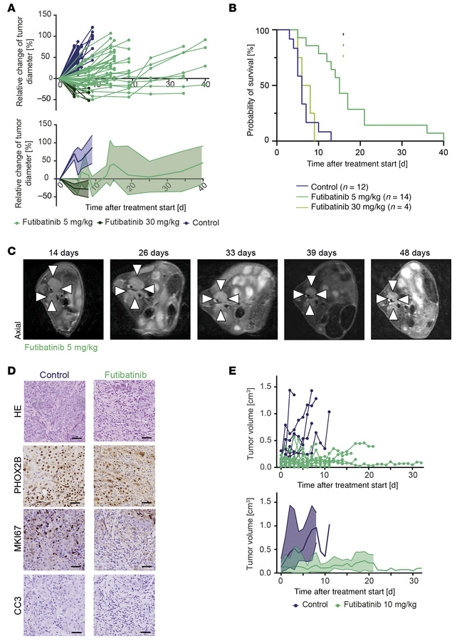 Futibatinib impairs tumor growth and prolongs survival in FGFR1N546K;MYC...