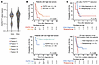 Patients with FGFR1N546-mutated neuroblastoma have a poor outcome.