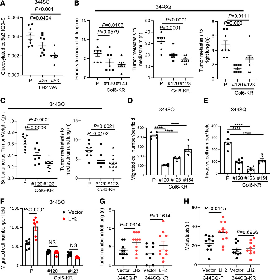 A Col6a3 K2049R mutation phenocopies LH2 GGT domain inactivation in LUAD...