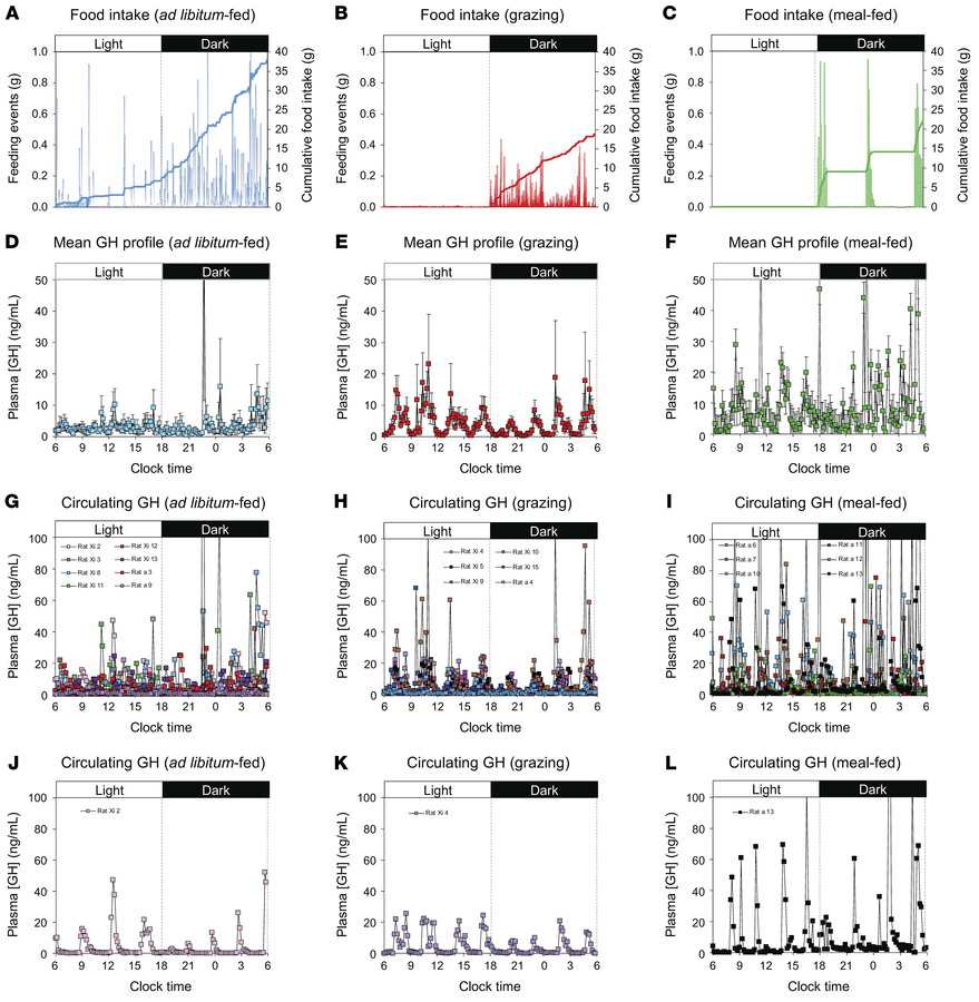 Meal-feeding amplifies GH rhythmicity.
Mean food intake profiles (A–C), ...
