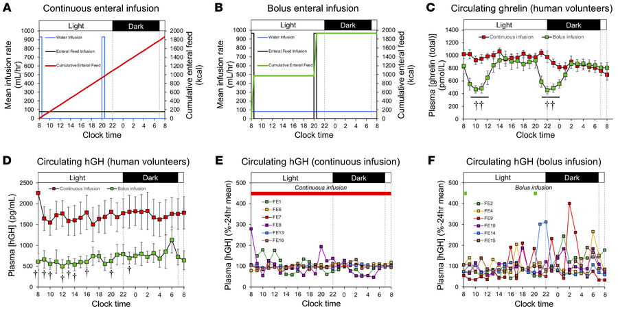 Meal-feeding enhances ghrelin and GH rhythmicity in human males.
Human m...