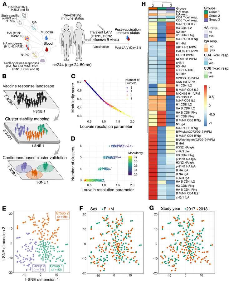 Immune response landscape mapping of LAIV reveals distinct immunophenoty...