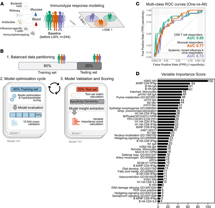 Automated machine learning framework for mapping and predicting LAIV imm...