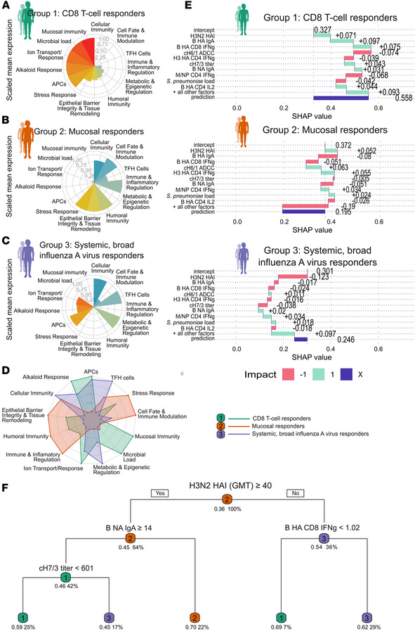 Baseline immune features and pathway-level determinants of LAIV responde...