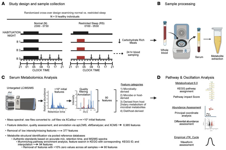 Experimental study design and workflow for serum metabolomics analysis.
...