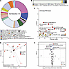 Integrated analysis and pathway enrichment reveal that short-term sleep res