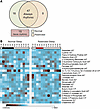 24-hr relative abundance profiles across nearly all classes of metabolites