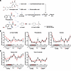 Unique 24-hr profiles of metabolites in circulation derived from host secon
