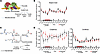 Unique 24-hr profiles of metabolites in circulation derived directly from m