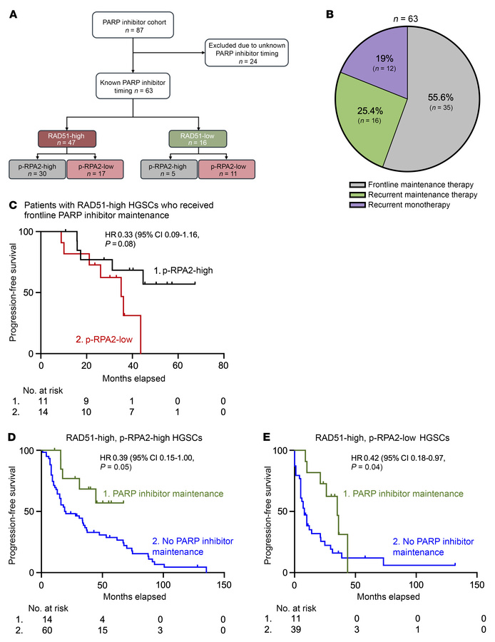 Automated p-RPA2 score predicts survival in patients with RAD51-high HGS...