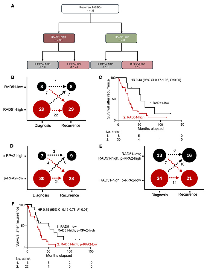 Automated p-RPA2 and RAD51 scores at the time of recurrence predict surv...