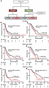 Automated p-RPA2 score predicts survival in patients with RAD51-high HGSCs