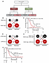 Automated p-RPA2 and RAD51 scores at the time of recurrence predict surviva