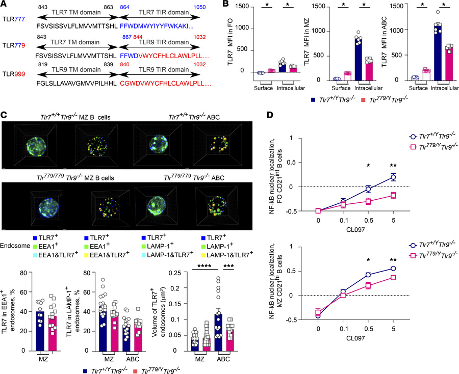 Creation of a chimeric RNA-sensing TLR7 with TLR9 signaling capacities.
...