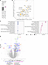 Differences in B cell–signaling qualities driven by TLR777 or TLR779.