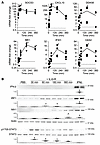 IL-6 promotes a type I IFN–like transcriptional response in HUVECs independ