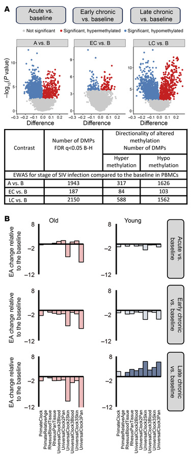 Longitudinal DNAme analysis of PBMCs.
(A) Epigenome-wide association stu...