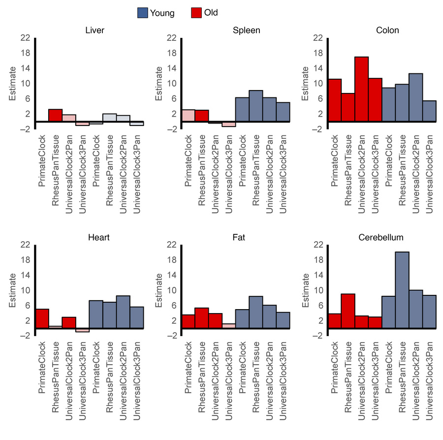 Effects of age (young or old) on epigenetic age acceleration in tissues ...