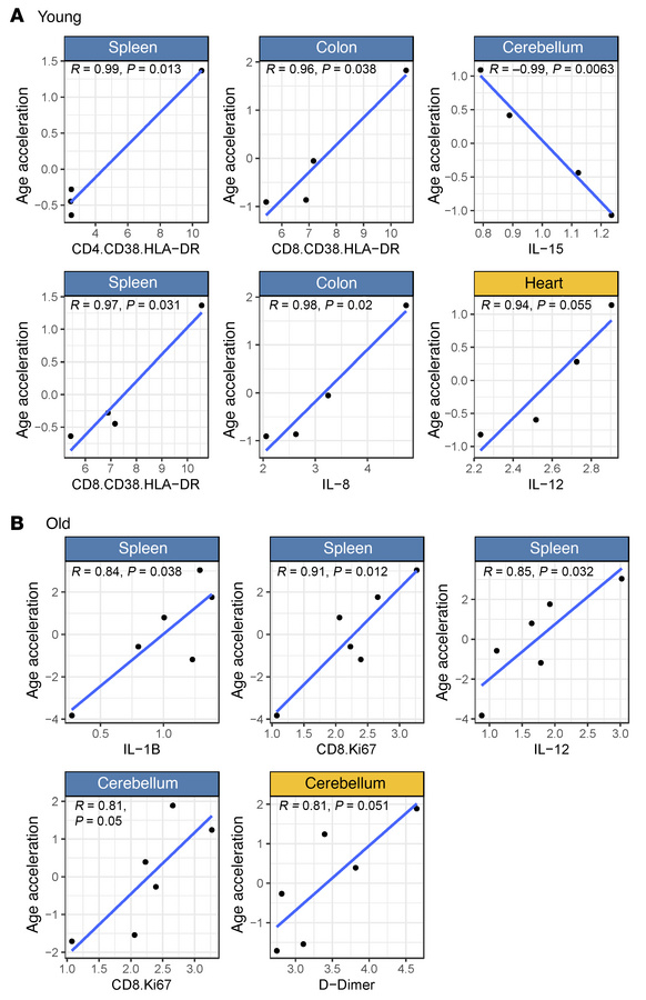 Association between tissue epigenetic age and peripheral pathogenesis ma...