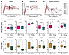 Viral RNA and DNA burdens.