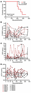Probability of survival after SIV infection in old (red lines) versus young
