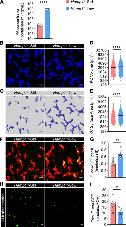 Dietary iron restriction improves KC bacterial clearance and liver immun...