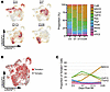Monocyte-derived populations dynamically shift as a function of time after