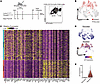 Monocyte-derived populations exist independent of cardiac resident macropha