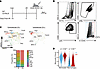 Monocyte fate specifications is initiated prior to myocardial infiltration.
