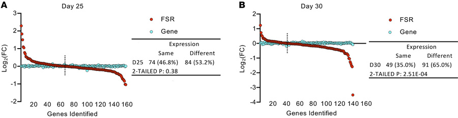 Comparison of the hepatic protein FSR with gene expression.
Protein FSRs...
