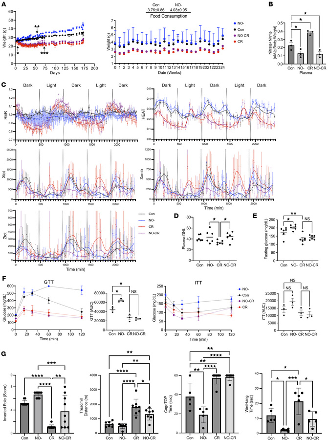 Experimental design for the physiologic effects of CR in iNOS-KO (NO–) m...